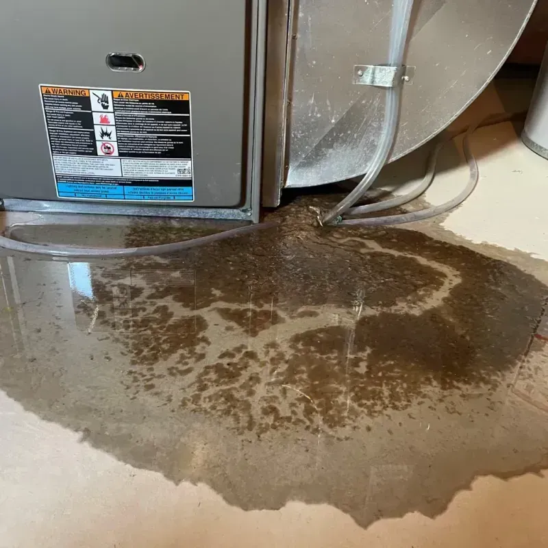 Appliance Leak Cleanup in Collingswood, NJ